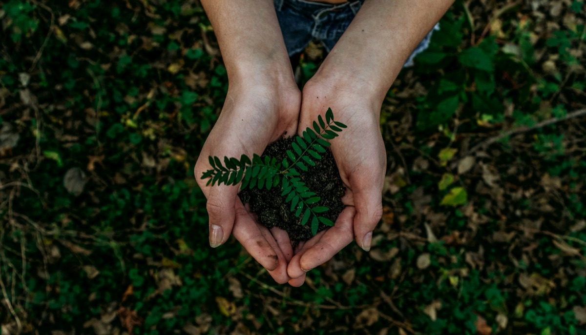 Nachhaltigkeit bei Firmenevents: Green Workshops in Berlin